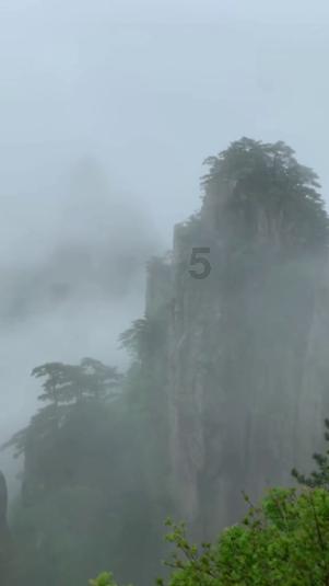 植物大战僵尸7