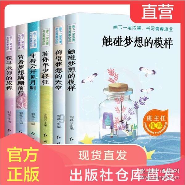 真三国无双8
